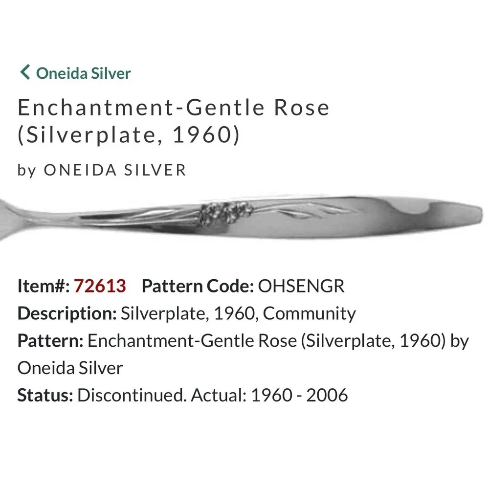 Oneida Community Enchantment Gentle Rose Silverplate Flatware 17pc Set 1960